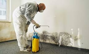 Best Mold Odor Removal Services  in Platteville, WI